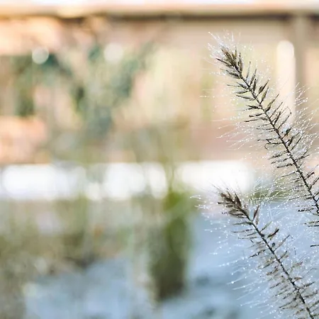 Lovely In With Bubble Bath 4* קאטשאופל