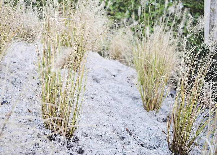 Lovely In With Bubble Bath 4* Kaatsheuvel