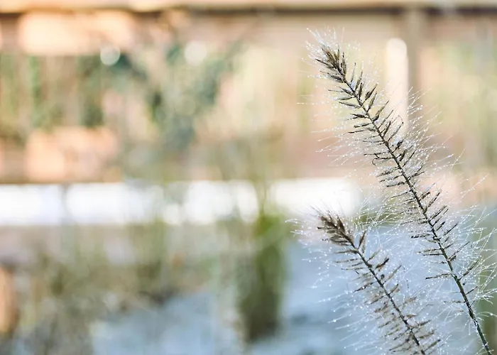 Lovely In With Bubble Bath 4* Kaatsheuvel